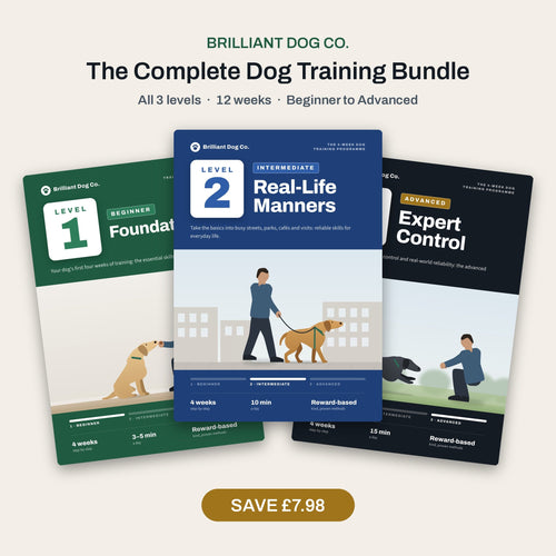 Brilliant Dog Co. Complete 12-Week Dog Training Programme bundle: all 3 levels