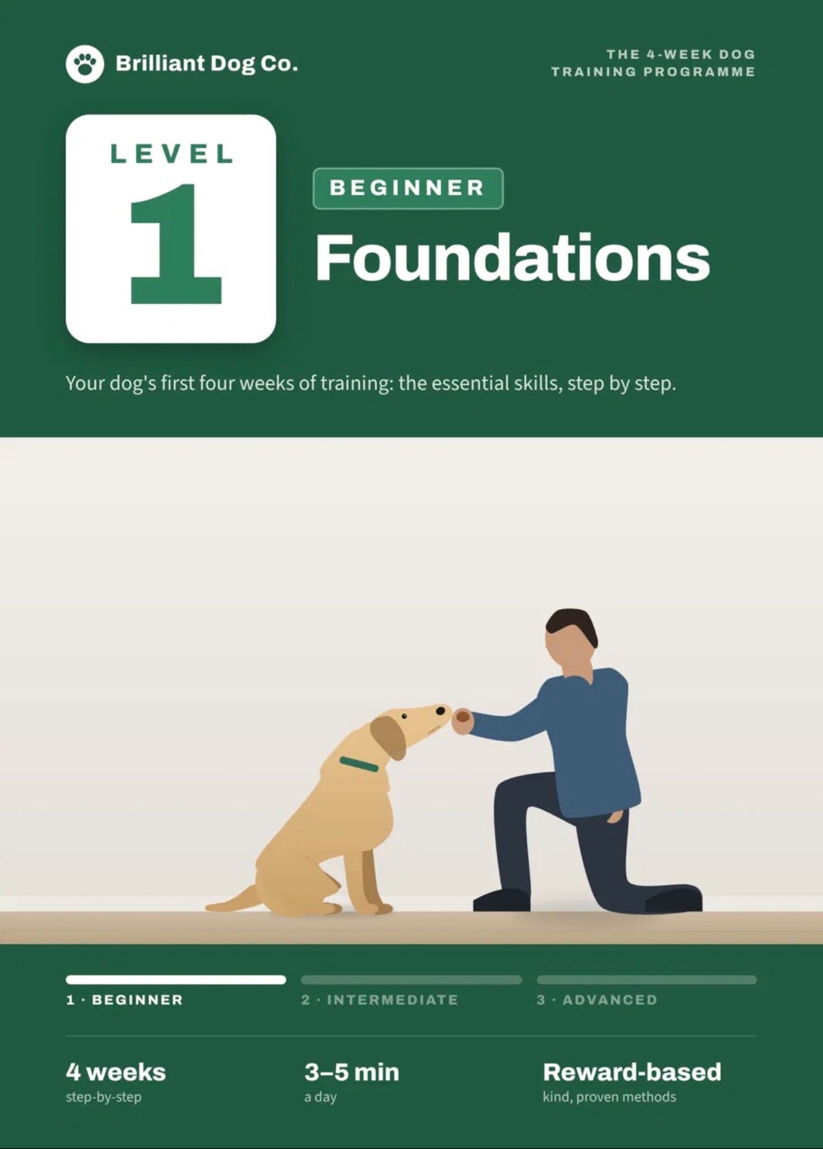 Level 1: Beginner — Weeks 1–4
