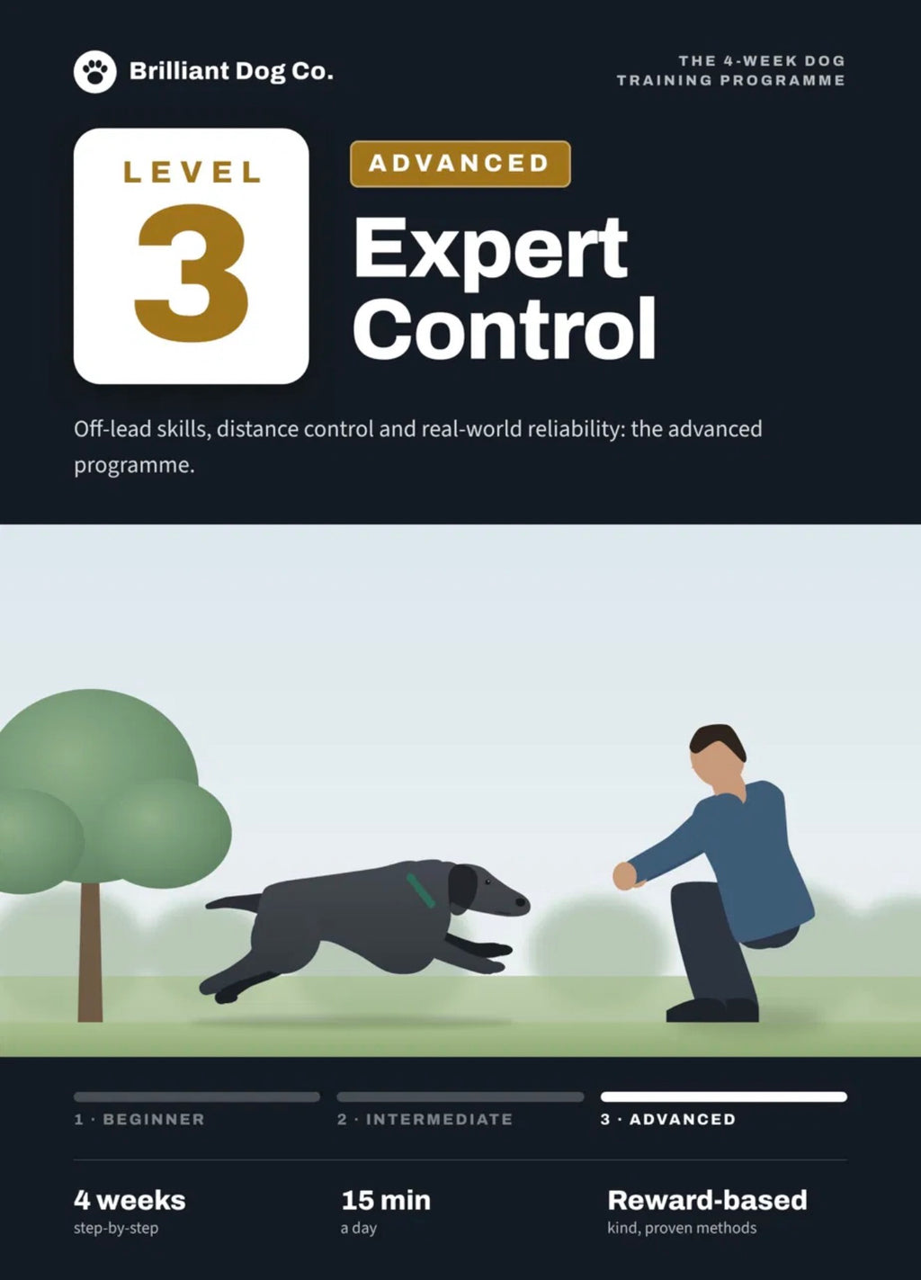 Level 3: Advanced — Weeks 9–12