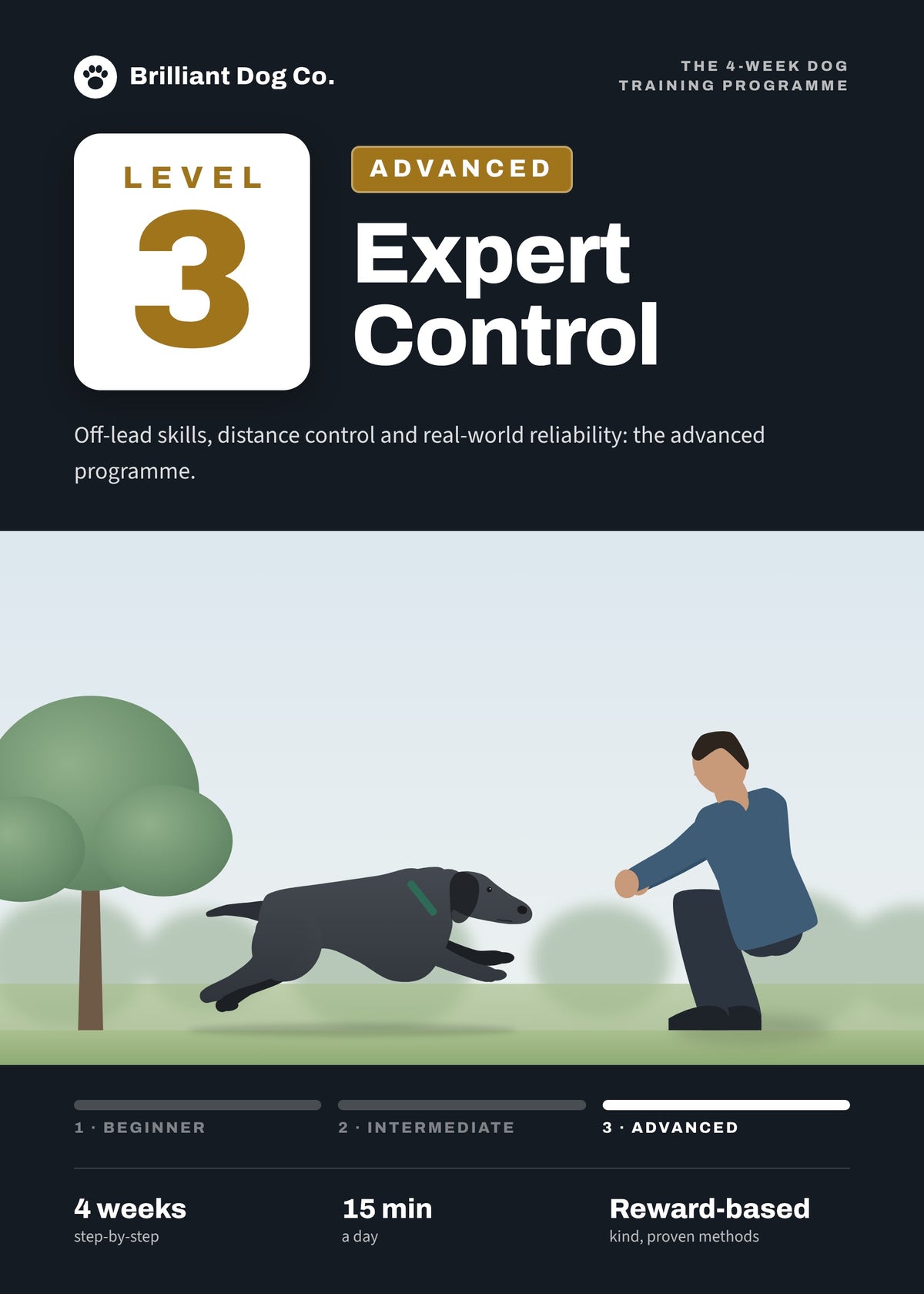 Level 3: Advanced — Weeks 9–12